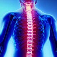 Spinal2 Spinal2