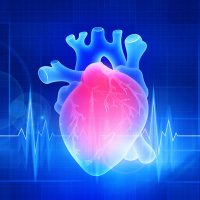 Heart2 Heart2