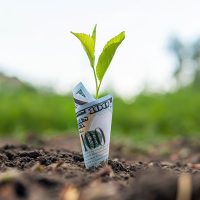 MoneyGrowth MoneyGrowth